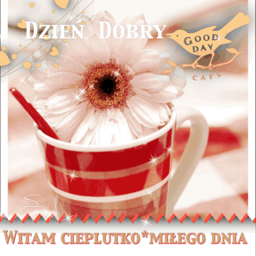 Kubek z białym kwiatem na Dzień Dobry